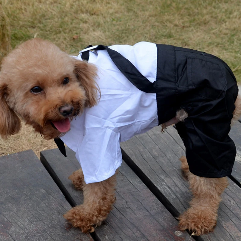 

Puppy Pet Small Dog Clothes Stylish Suit Bow Tie Costume Wedding Shirt Formal Tuxedo with Black Tie Dog Prince Wedding Bow Tie