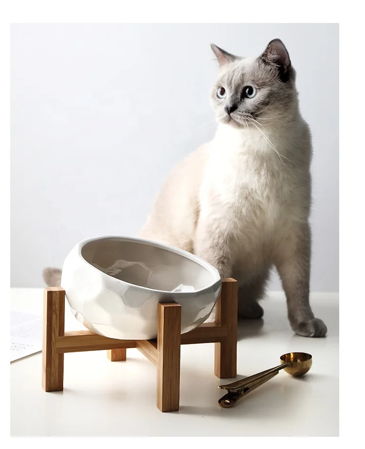 

Amazon cute ceramic pet feeder water food dog cat dish feeding travel bowl for cat