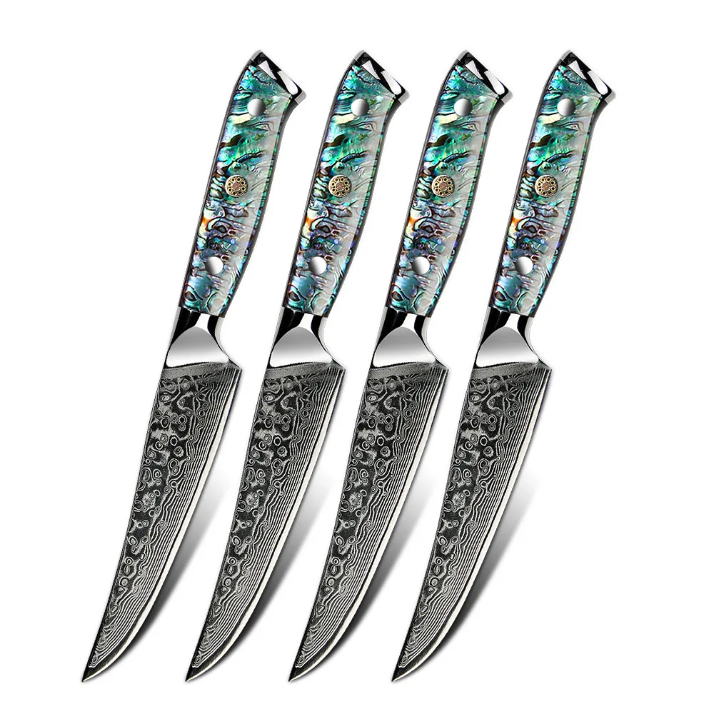 

4 pcs 67 layers kitchen Damascus VG 10 Steel meat cutting blade 5 inch steak knife set with Natural Abalone handle