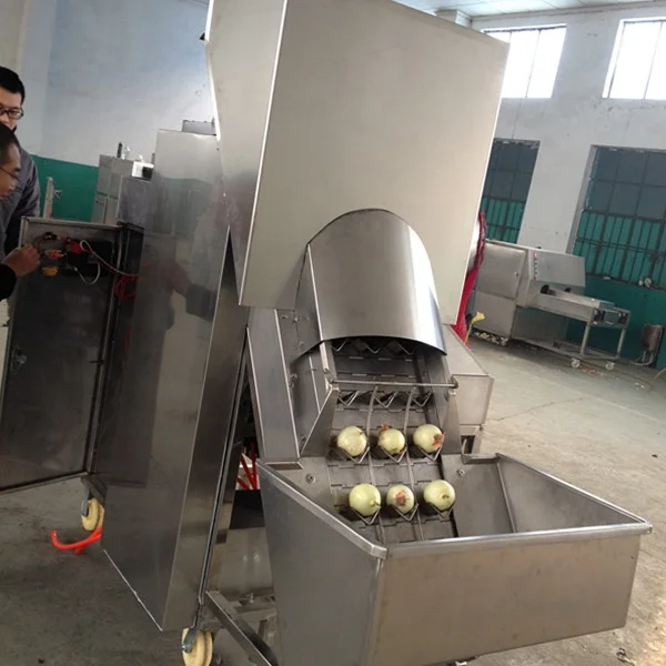 Add to CompareShare onion peeling machine/onion root cutting machine/onion peeling and root cutting machine   WT/8613824555378