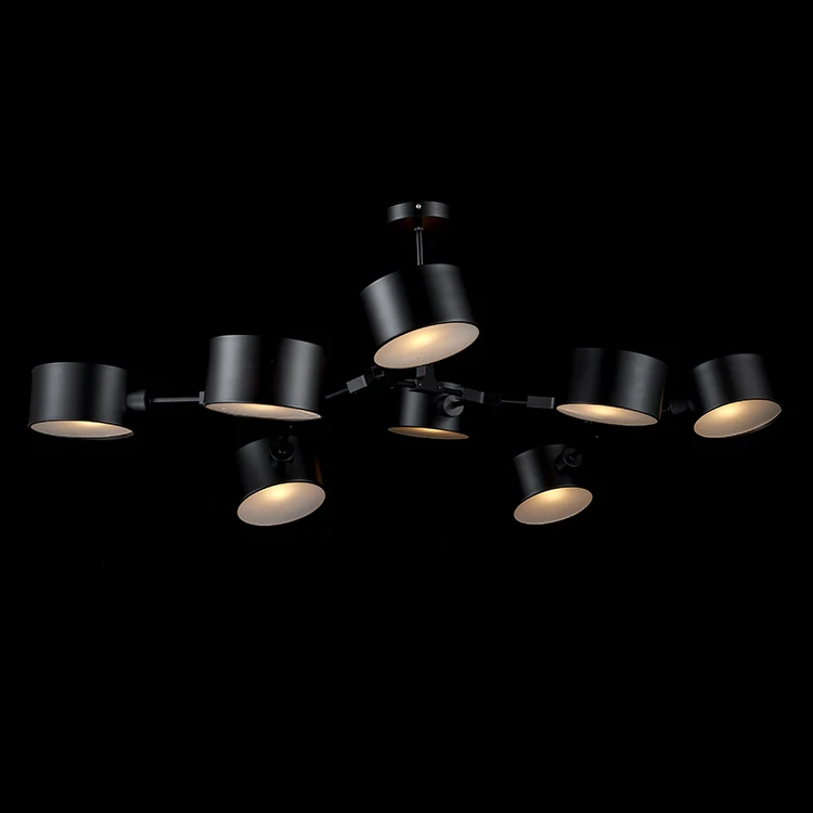 
Latest modern decorative ceiling light lamp for home 