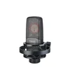 TAKSTAR Professional vocal network live broadcast studio instrument side address microphone for personal recording TAK45