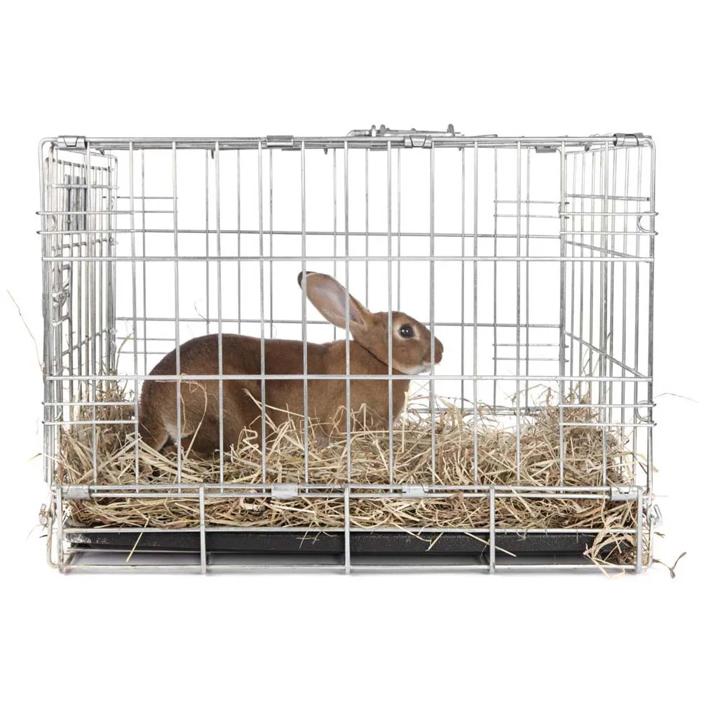 Galvanized Small Animal Cages Welded Rabbit Cages Buy Animal Cages