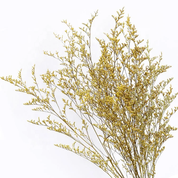 

2020 Direct Manufacturer new dried grass limonium lovergrass for wedding decoration