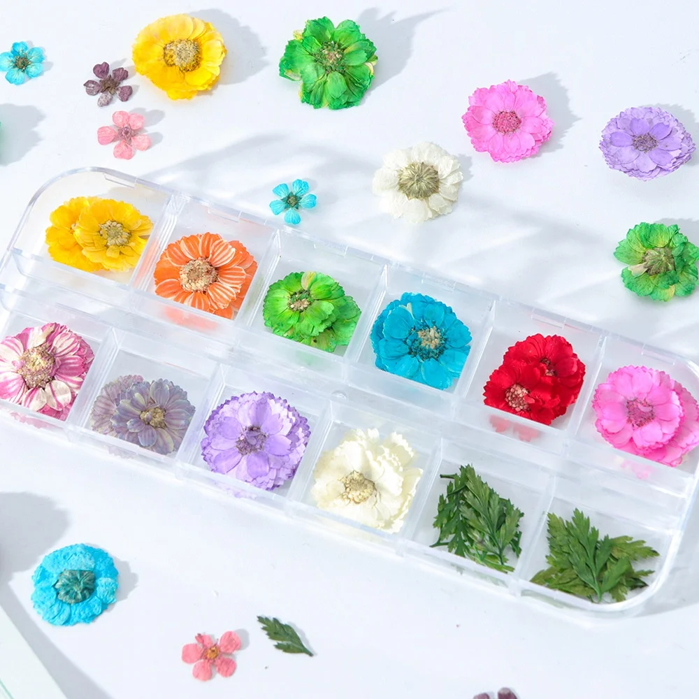 

Dry Flowers 3D Nail Art Stickers Decoration Real Natural Nail Supplies Tips Manicure Decor Mixed Accessories Nail Dried Flowers, Muti