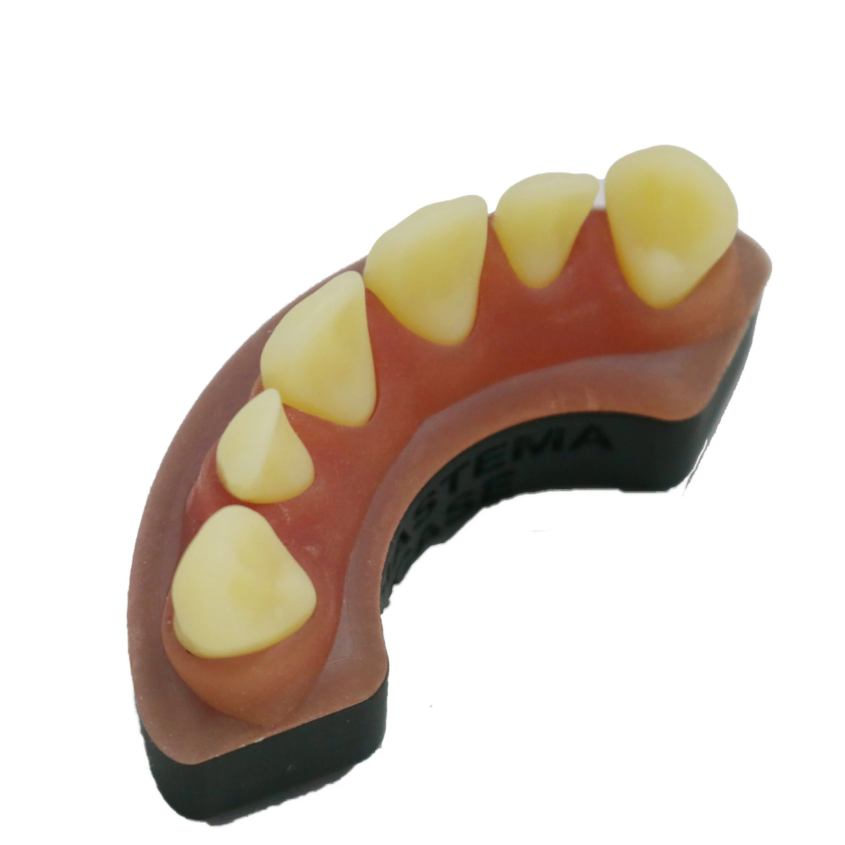 

High Precision Customized 3d Print Materials Dental Model