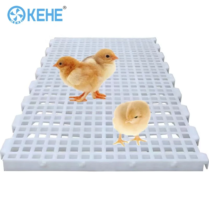 

Poultry house white slatted grating shed slat mesh flooring mat system plastic chicken floor for broiler farm