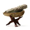 Ready to Ship for Raw abalone shell/white sage/Wood stand