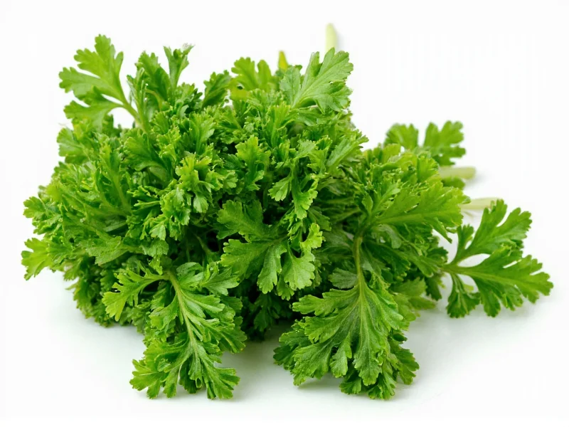 Parsley vs Coriander: Are They the Same Herb?
