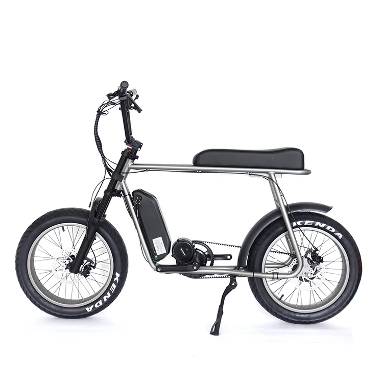

Fat tire 1000w BBSHD Mid Motor Belt drive Retro electric bike