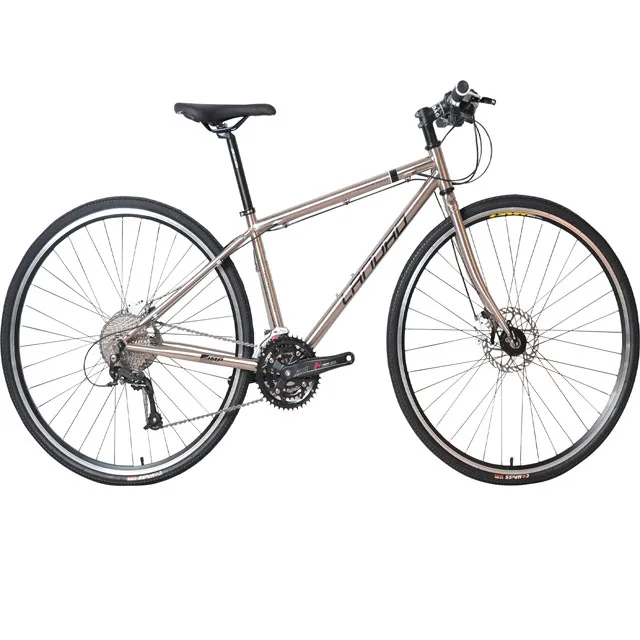 Storm Road Bike Landao,700c*15 Inch Cr 