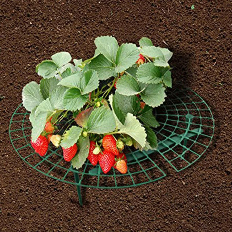 

Garden Stand Balcony Vegetable Stand Plant Climbing Pillar Strawberry Stand