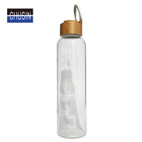 

New Design 500ML High Quality Borosilicate Glass Water Bottles with Bamboo Lid Custom Logo n Color