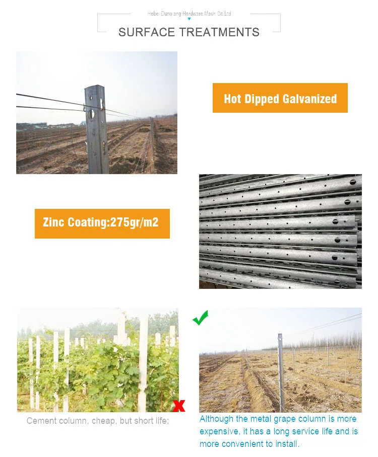 Wholesale Metal Vineyard Trellis Post 50x40mm Tthickness 2mm Buy