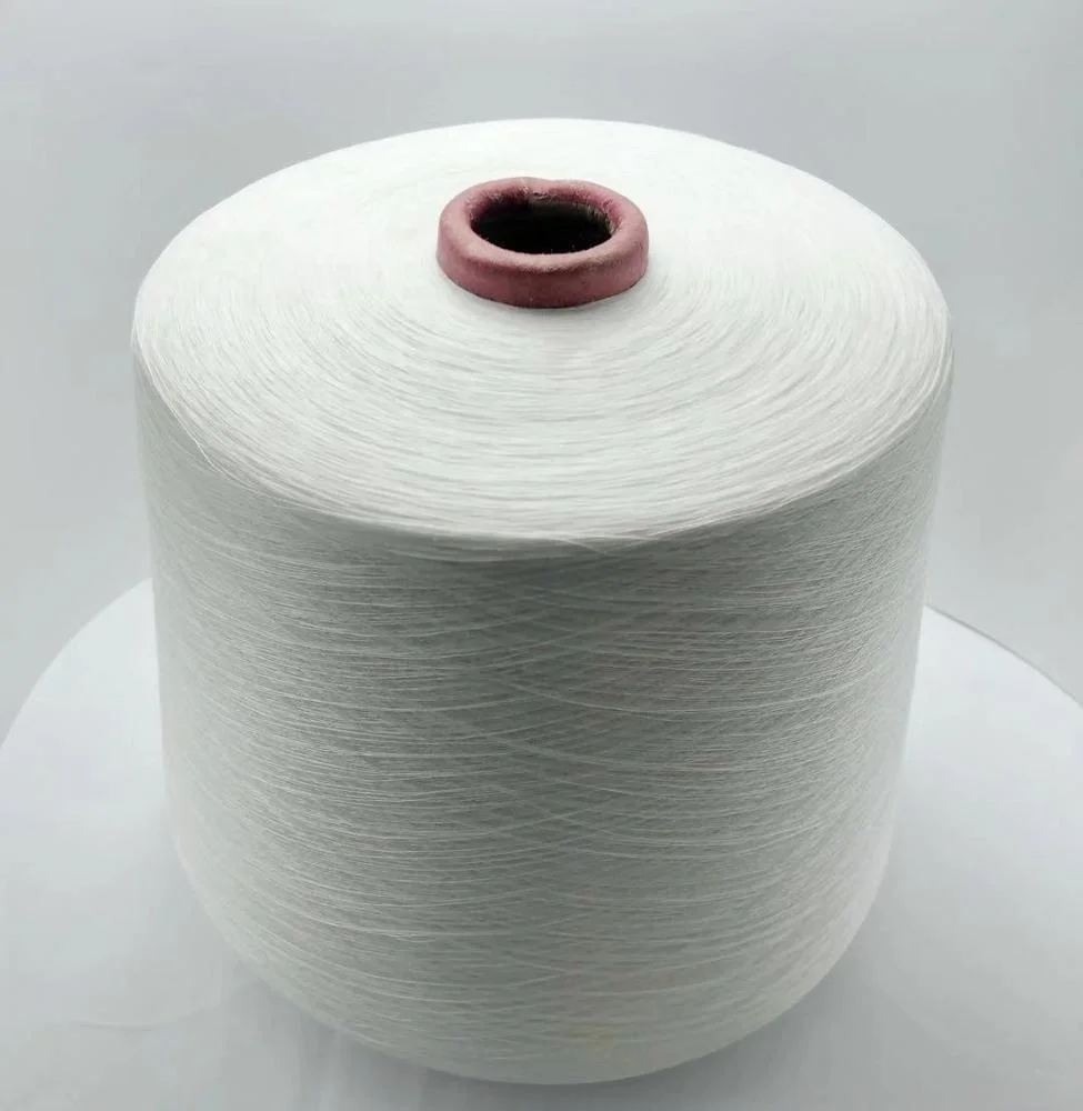 
Free sample New Arrival cotton Yarn 100 %Tencel Eco Friendly For Knitting Sweaters 
