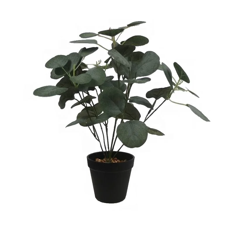 

Fuyuan factory hot selling 2021 artificial eucalyptus leaves potted plants small bonsai for hotel office farm house decoration, Silver dollar
