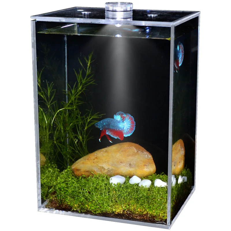 

mini acrylic table microlandschaft ecological Office aquarium fish tank Betta cylinder