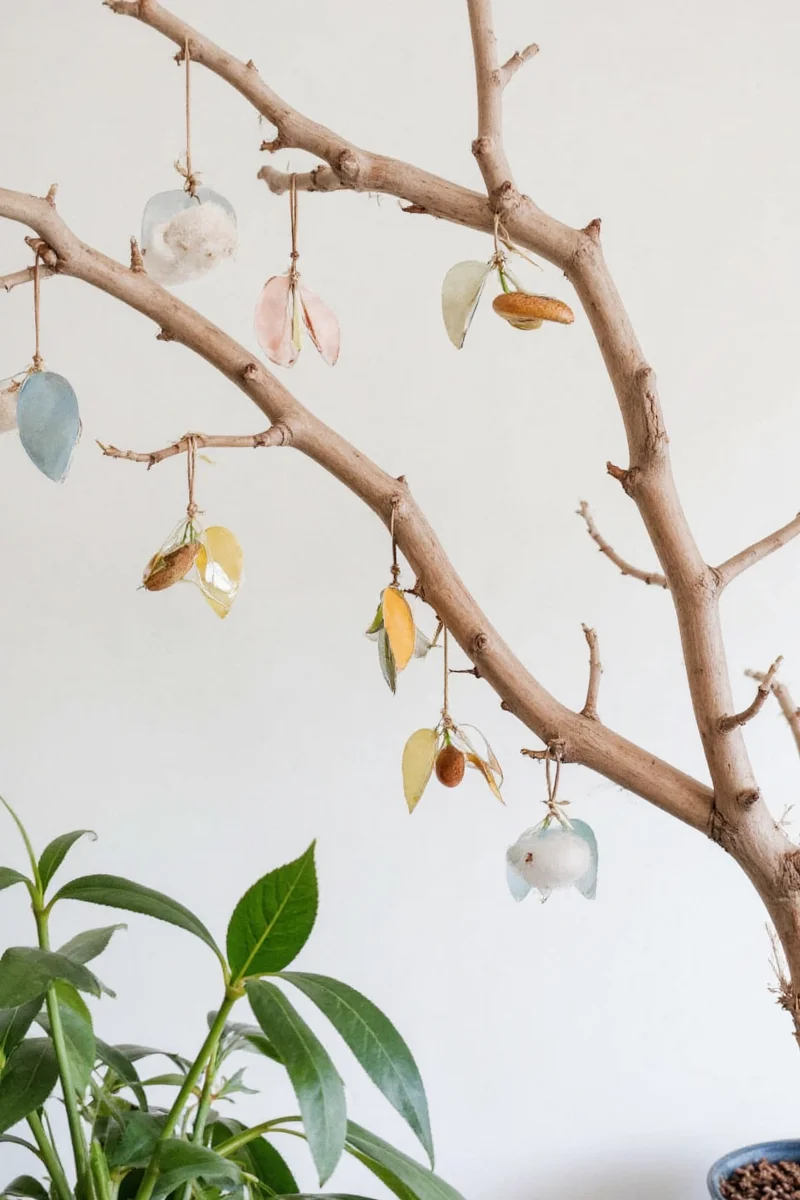 Nature-inspired branch decoration in cozy home interior