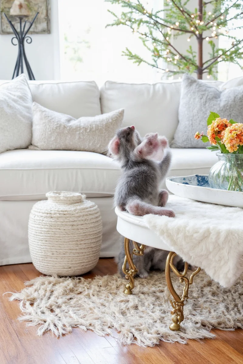 Cozy living room decorated with red mouse ornaments and cat lounging nearby
