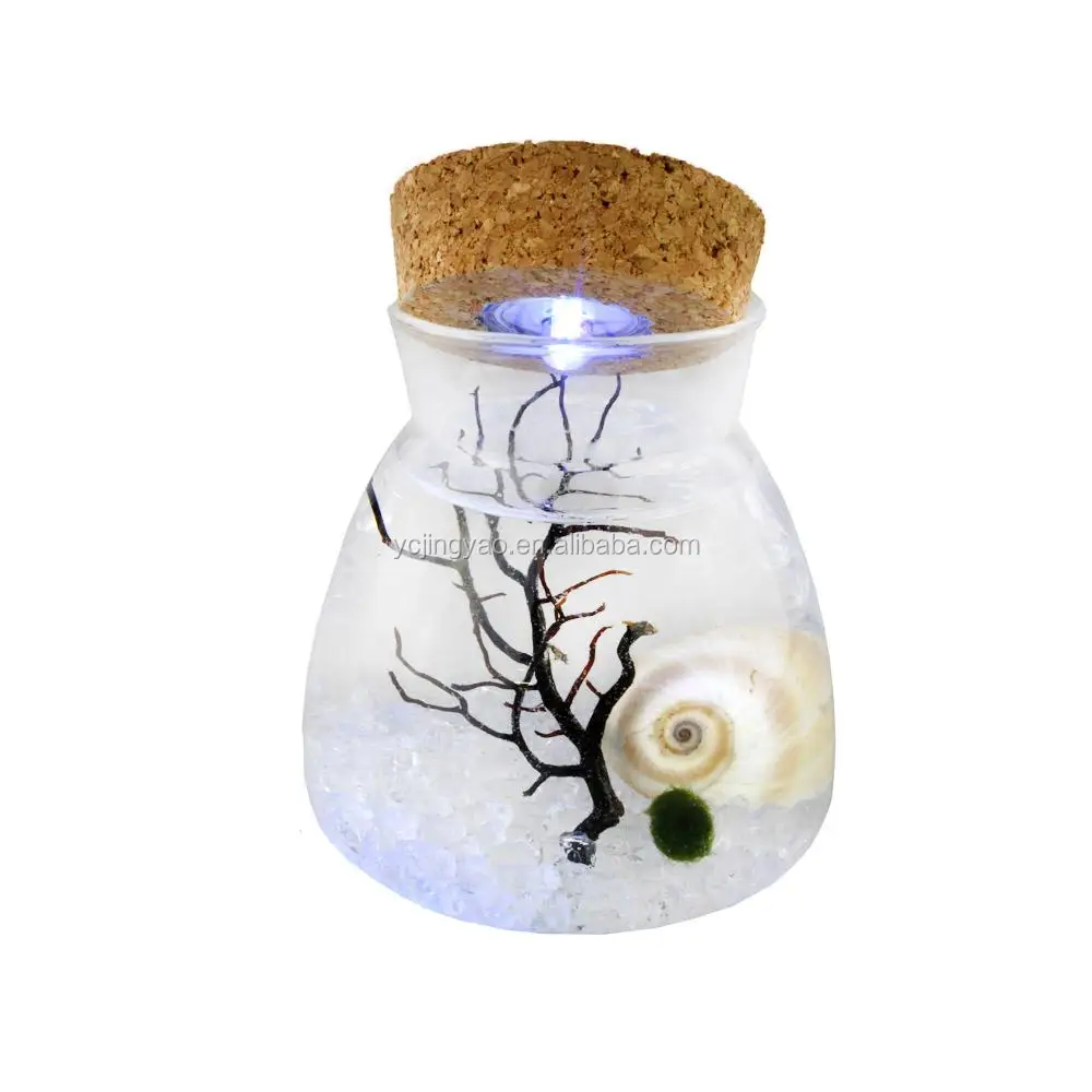 

Wholesale Glass Bottle Jar HydroponicTerrarium with Color Changing LED Light Cork Lid, Clear