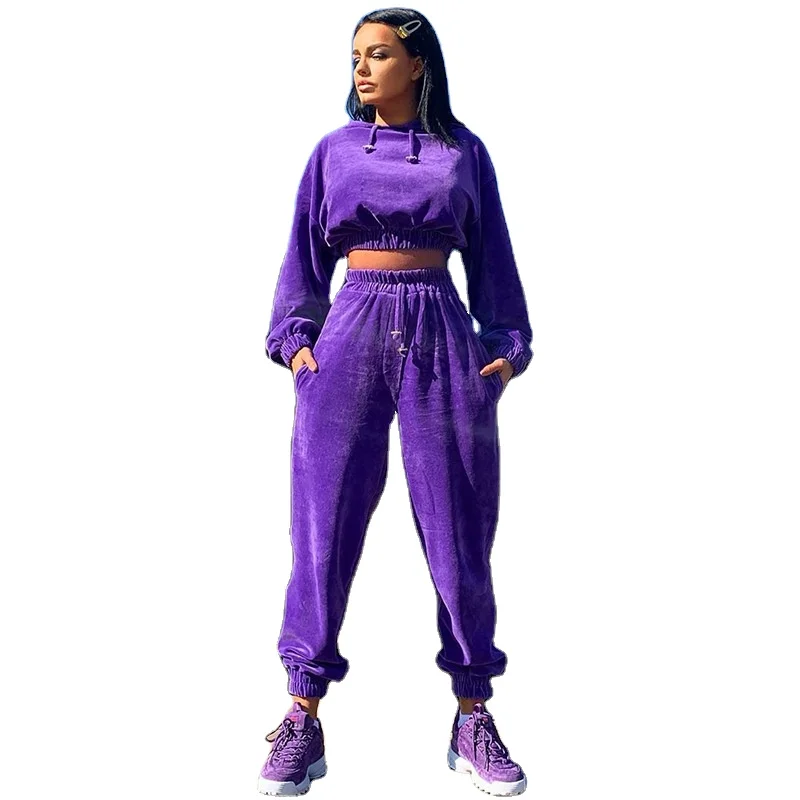 

Autumn Hoodie Velvet 2 Piece Set For Women Long Sleeve Top And Pants Jogging Sports Tracksuits, Pink.purple