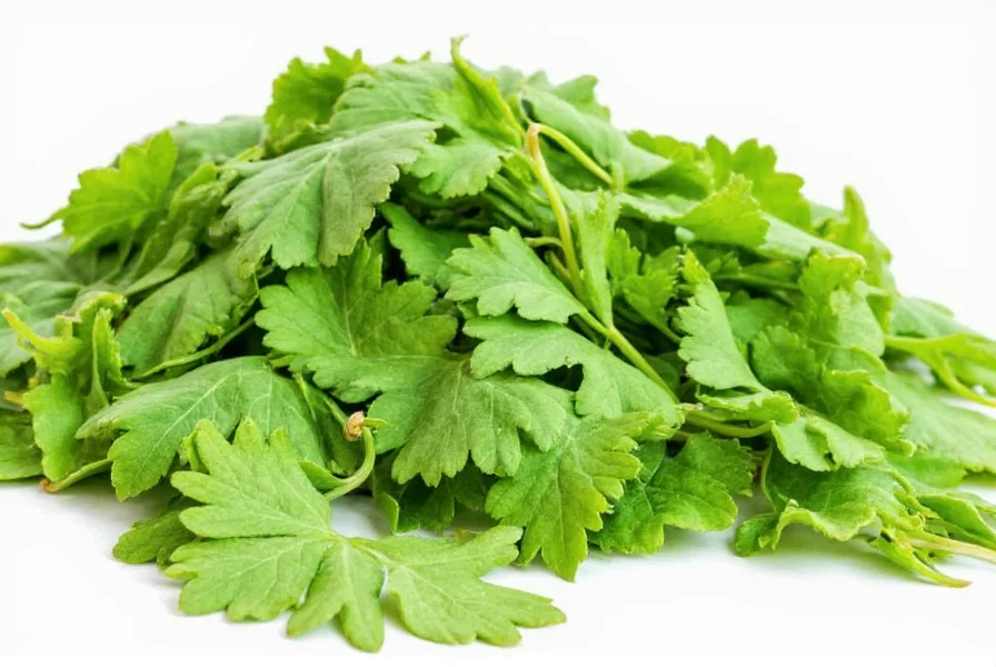 mustard leaf
