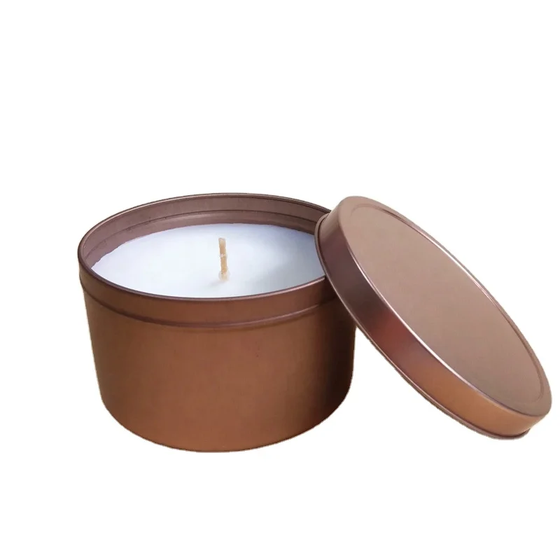 

FREE SAMPLES 300 grams Private Label Citronella Scented Metal Tin Candle for Outdoor CANDLES