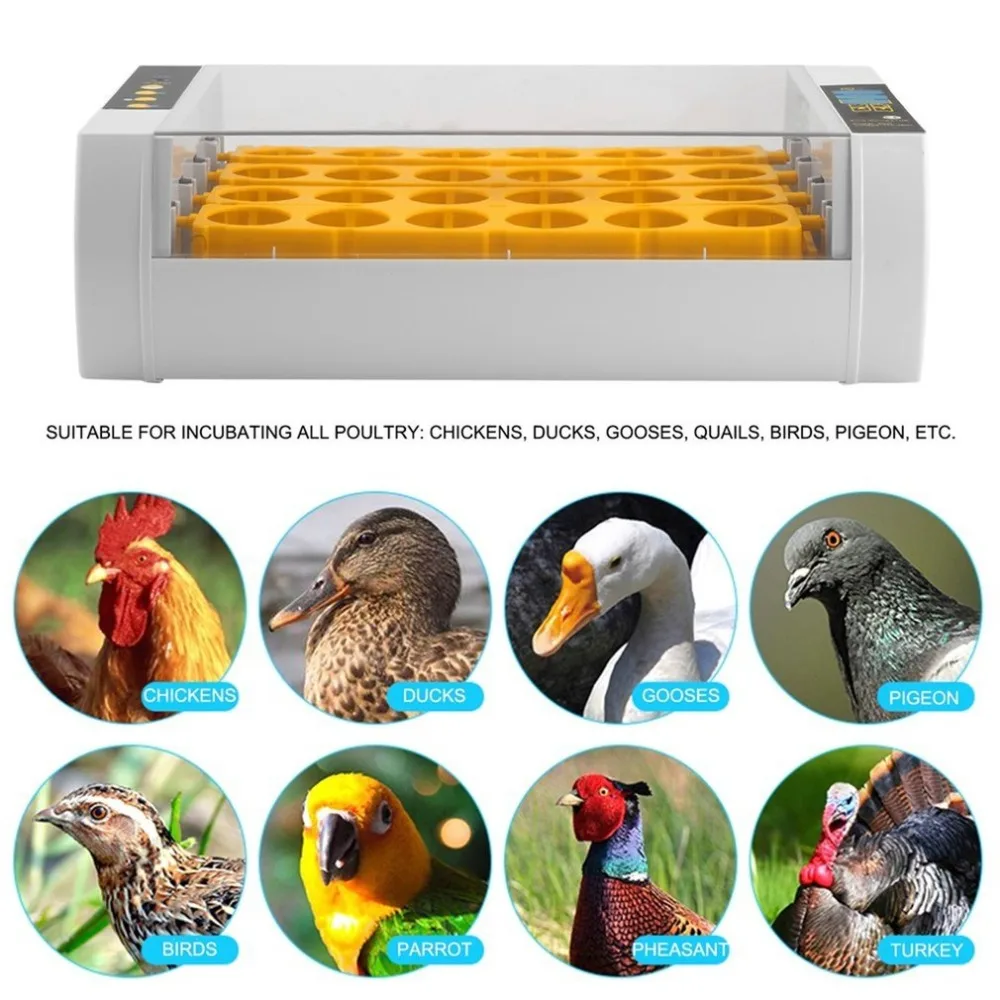 Practical 24 Eggs Large Capacity Mini Incubator For ...