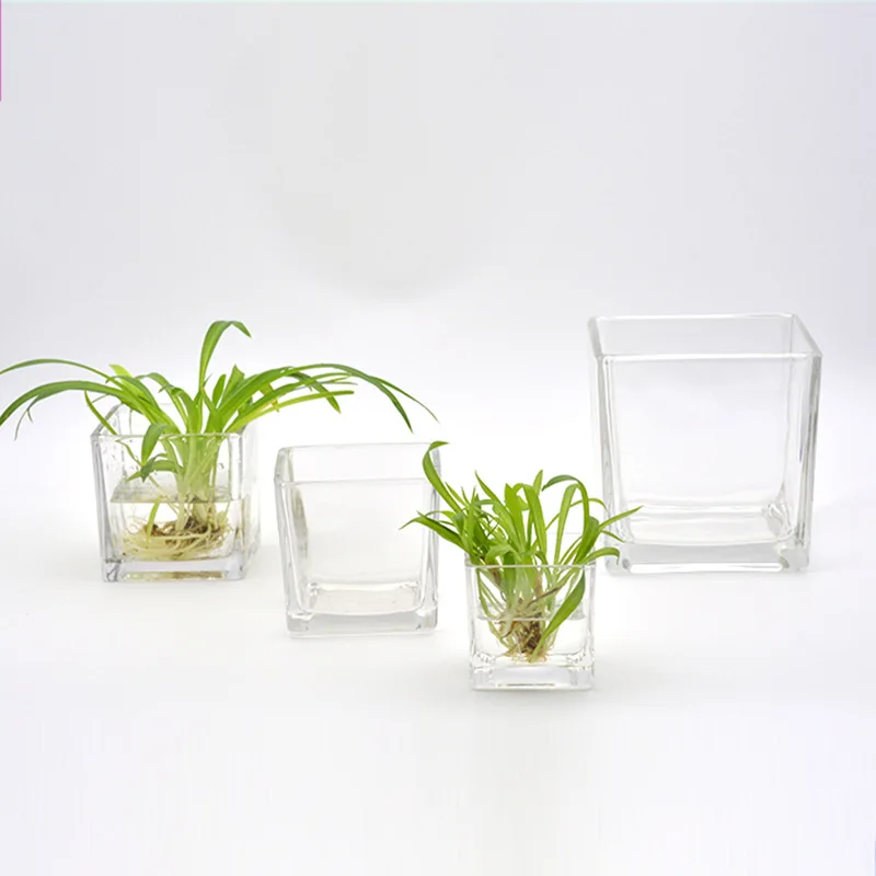 

High Quality Tabletop clear Hydroponic glass Vase Succulent Pot Garden Terrarium Square Glass Cube Vase, Customized color