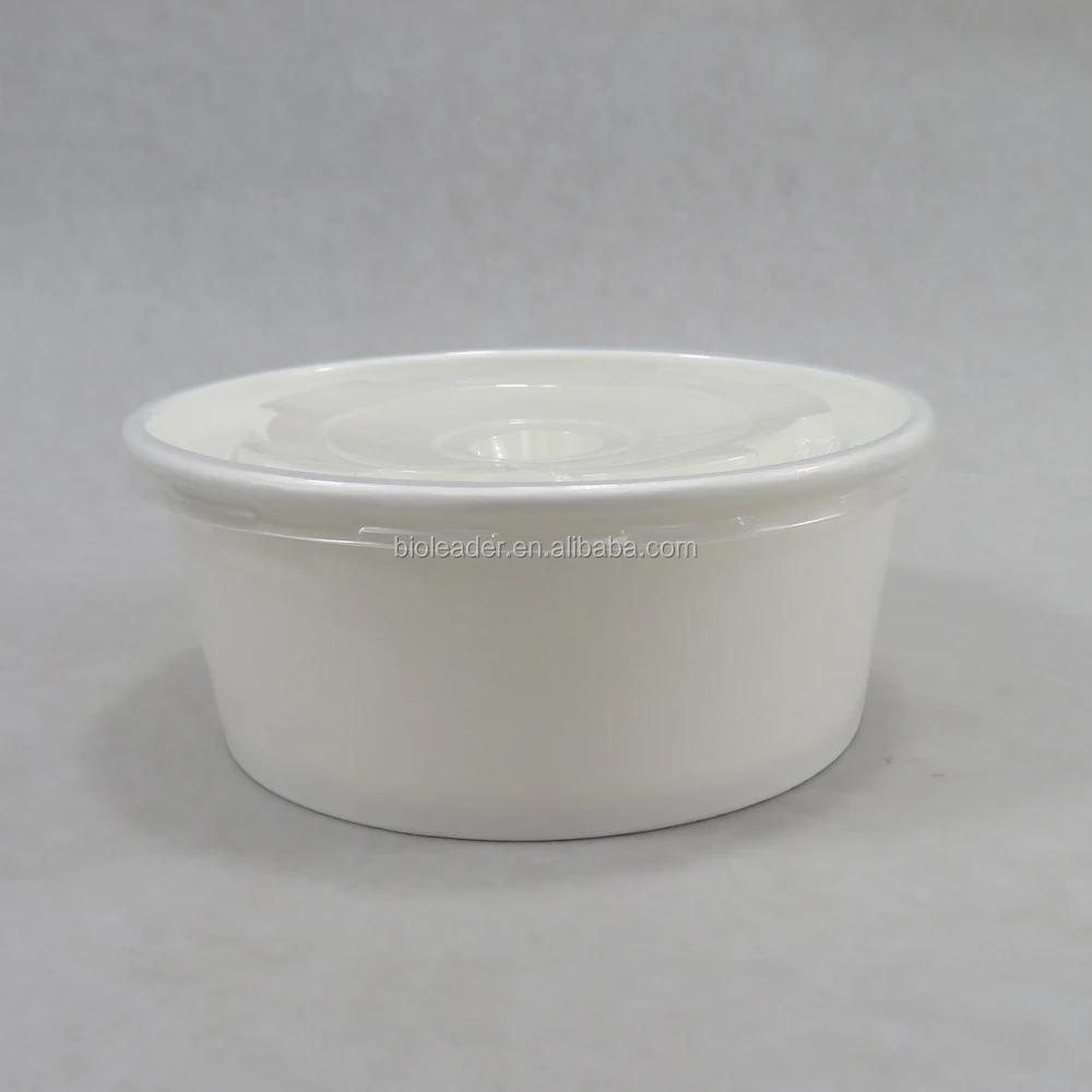 Paper Bowl 07