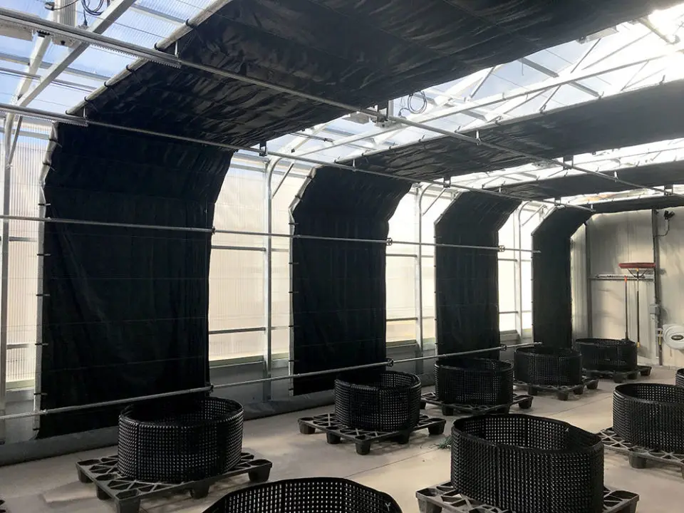 One One High Quality Commercial Agricultural Black Grow Tunnel Blackout Greenhouse For Sale 9