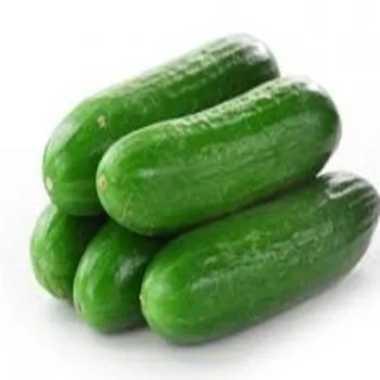 
Fresh cucumber 