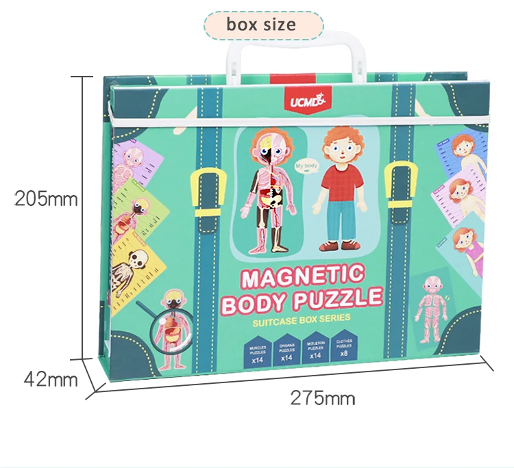 Magnetic Human Body Puzzle Custom Children's Early Educational Toys Back to School Puzzle