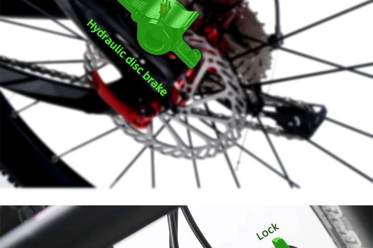 _04.jpg