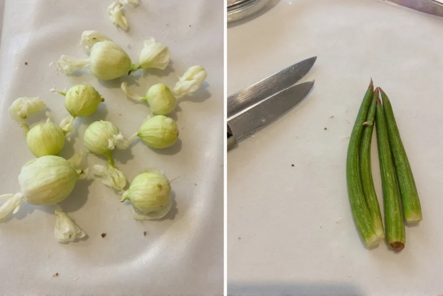 Healthy clove cuttings prepared for propagation showing proper node placement and cutting technique