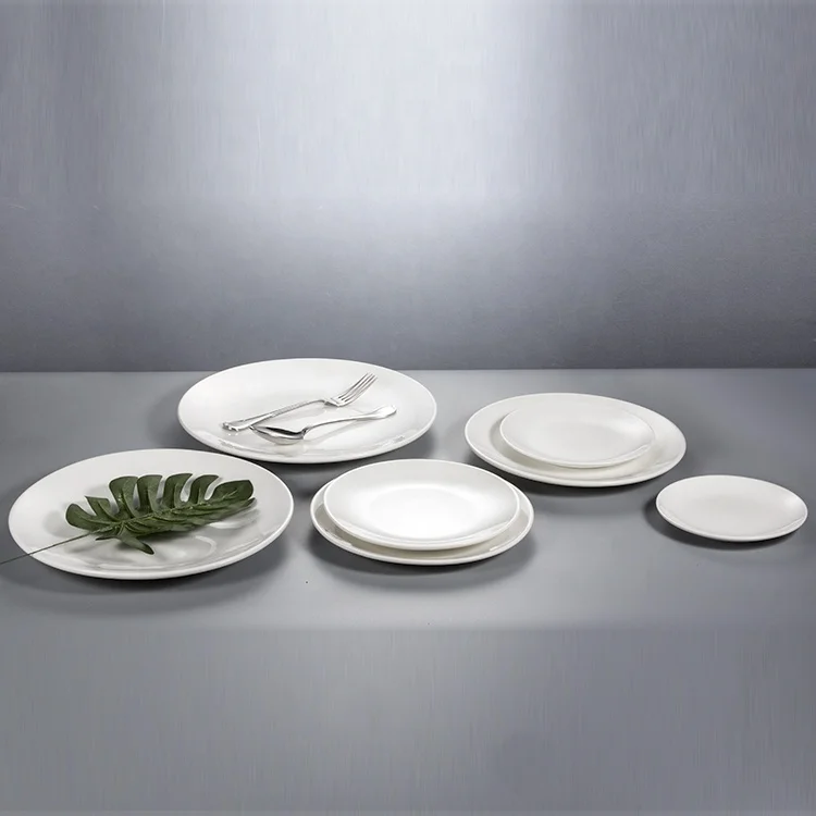 custom modern dinner plate