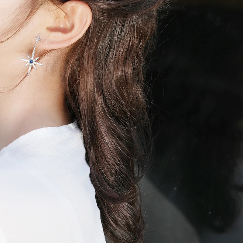 

Hot Selling S925 Silver Needle Exquisite Micro Set Diamond Hexagon Star Stud Earrings for Women