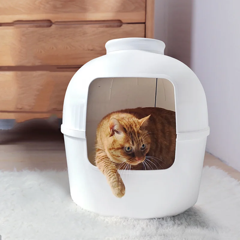 

Plant flowers Cat Litter box big space