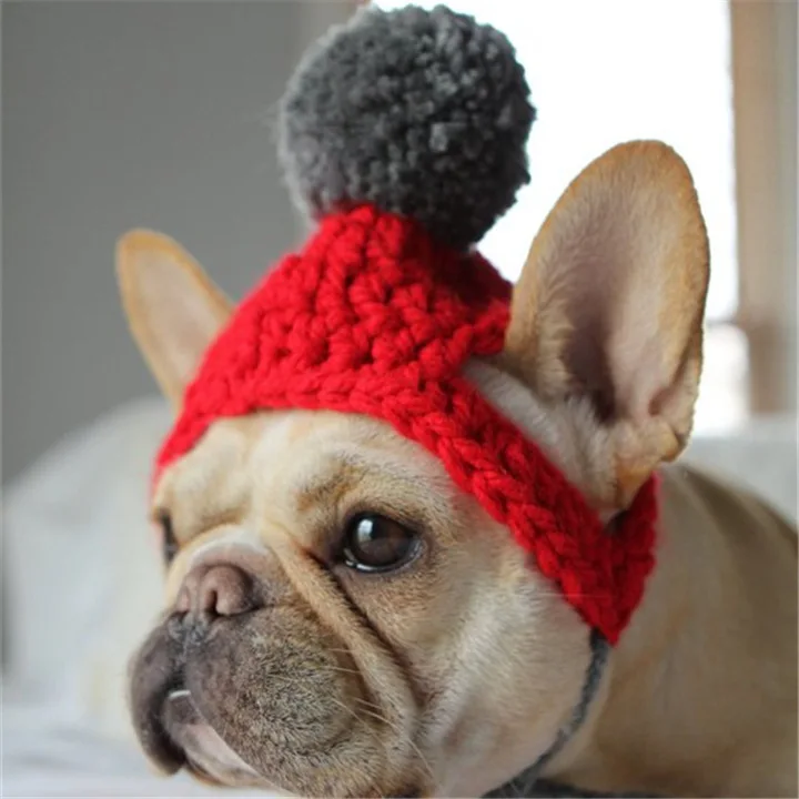 

Best selling warm windproof pet hat cute dog winter hat, Picture shows