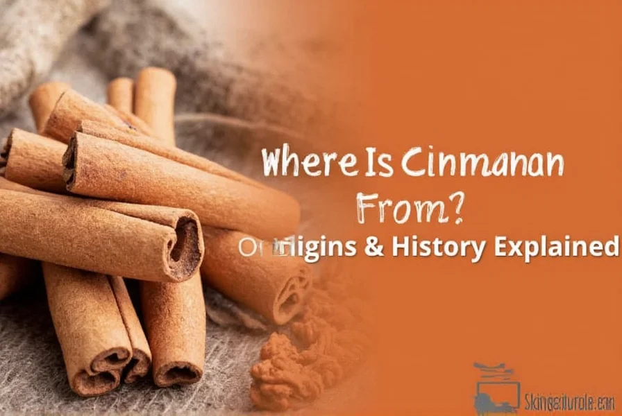 Where Is Cinnamon From? Origins & History Explained