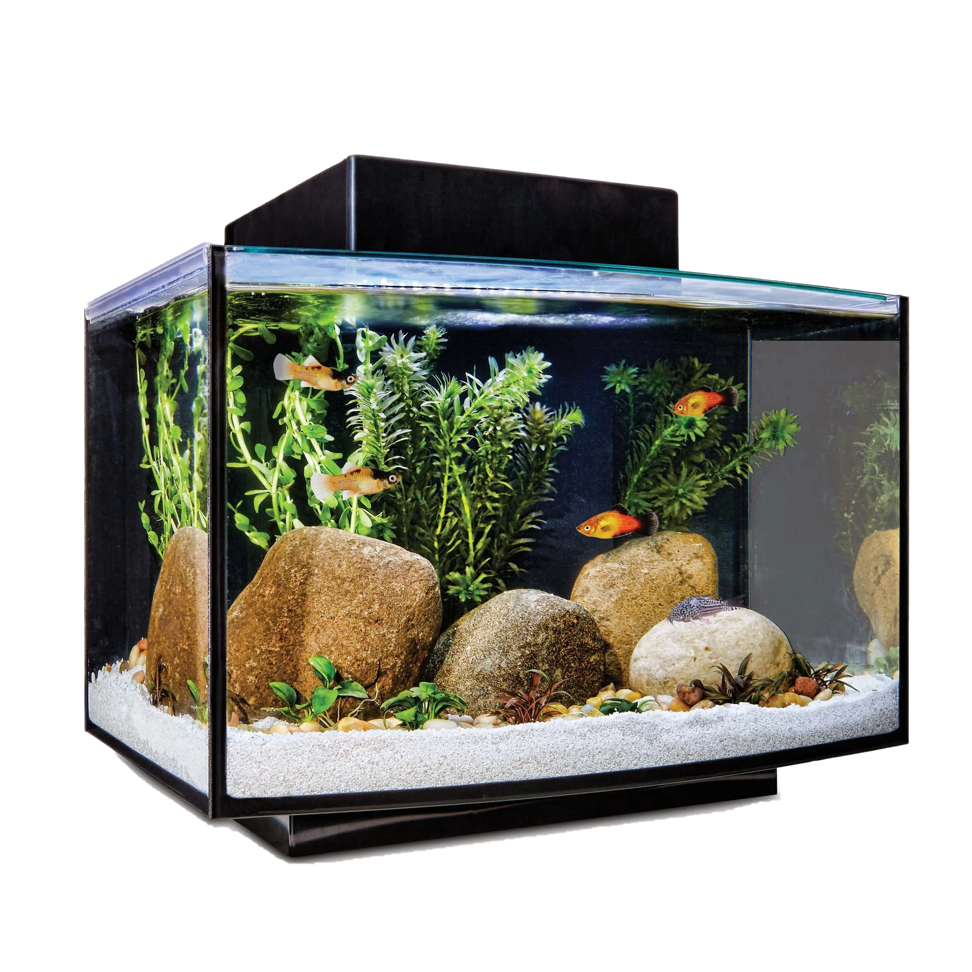 

Ultum Nature Systems Rimless Nano Glass Aquarium Tank