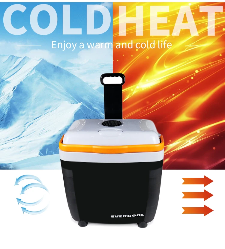 28 Litre Electric Cooler Box 12v Peltier Dc Medicine Mini Fridges Car