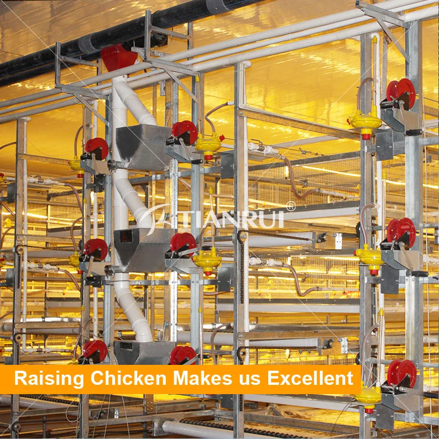 feeder system.jpg