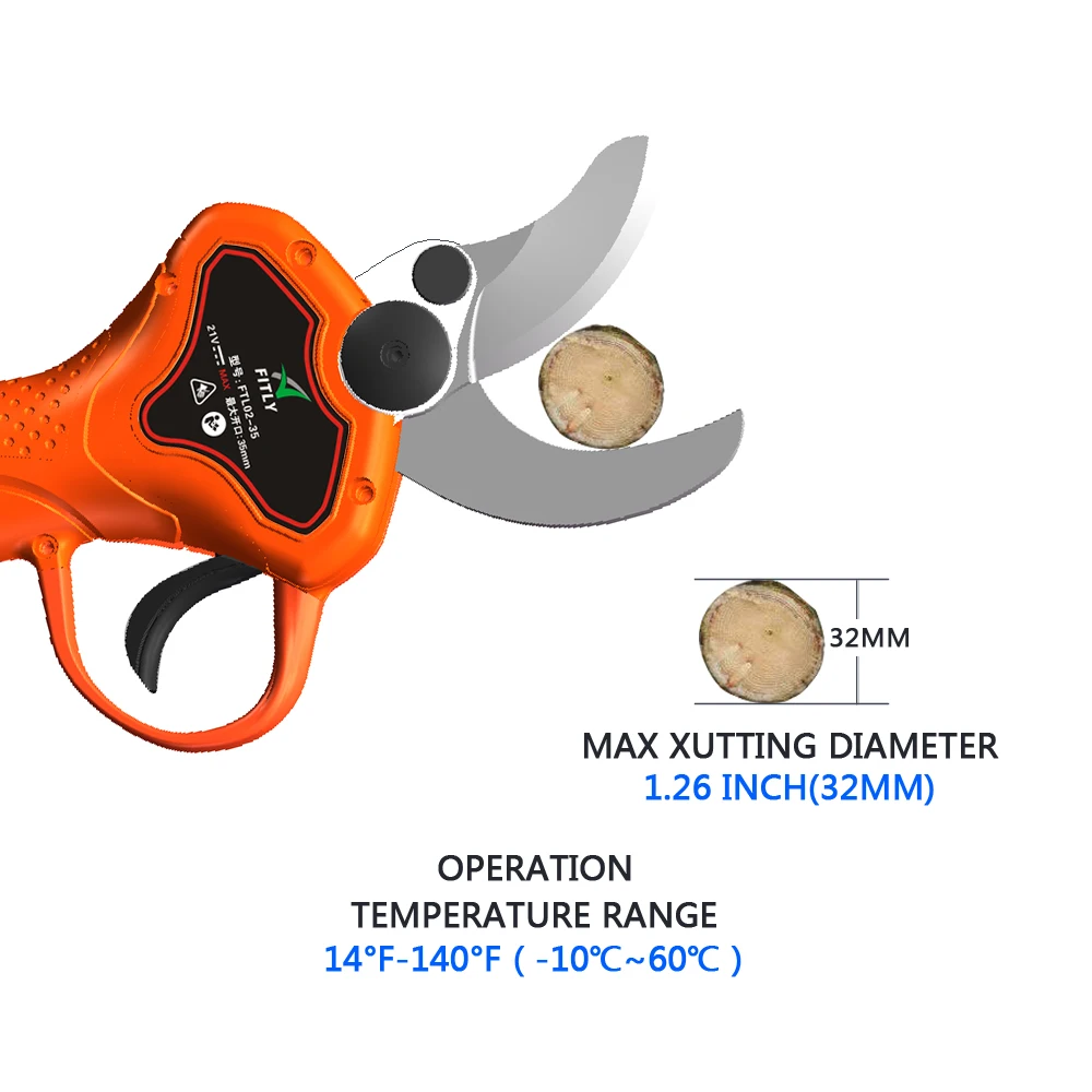 orange 2.jpg