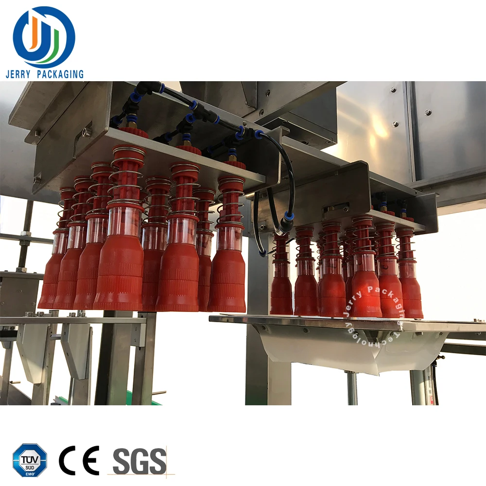 Automatic Vertical Case Packer Pick & Place Case Packing Machine For
