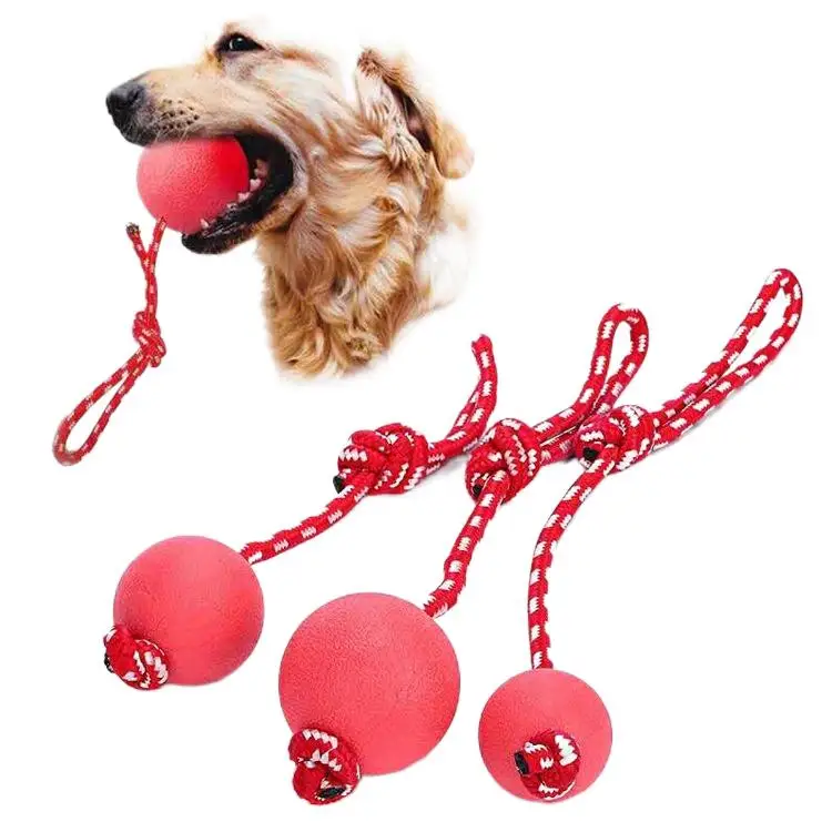

Pet toys bite resistant molar ball training interactive funny toys with rope rubber ball solid elastic ball