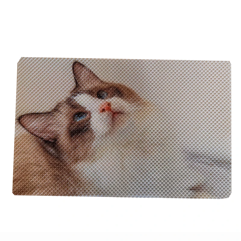 

Double-side Design Non-toxic Easy to Clean Customized Print Pattern Waterproof Urine-proof Cat Litter Mat, Customized color
