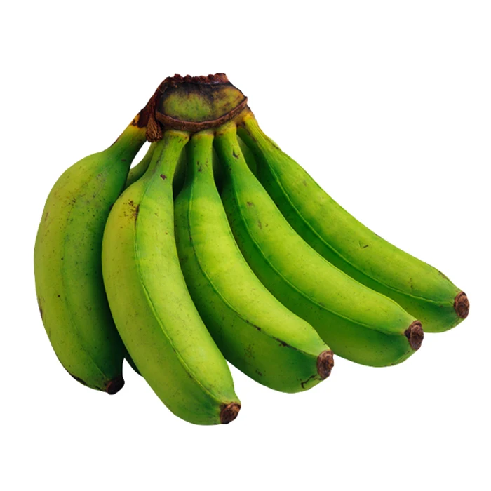 
High Quality Best Banana Indian Exporter 