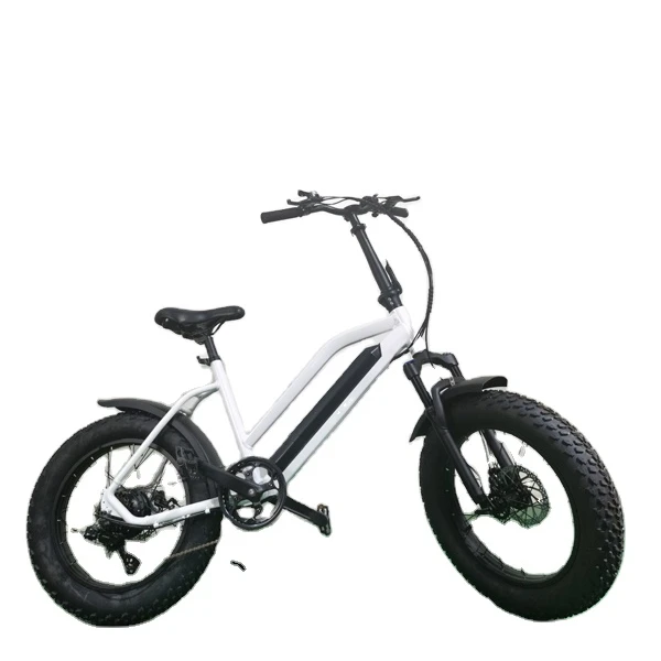 

Professional factory 20 inch foldable long range fat tire e-bike low price electric bike