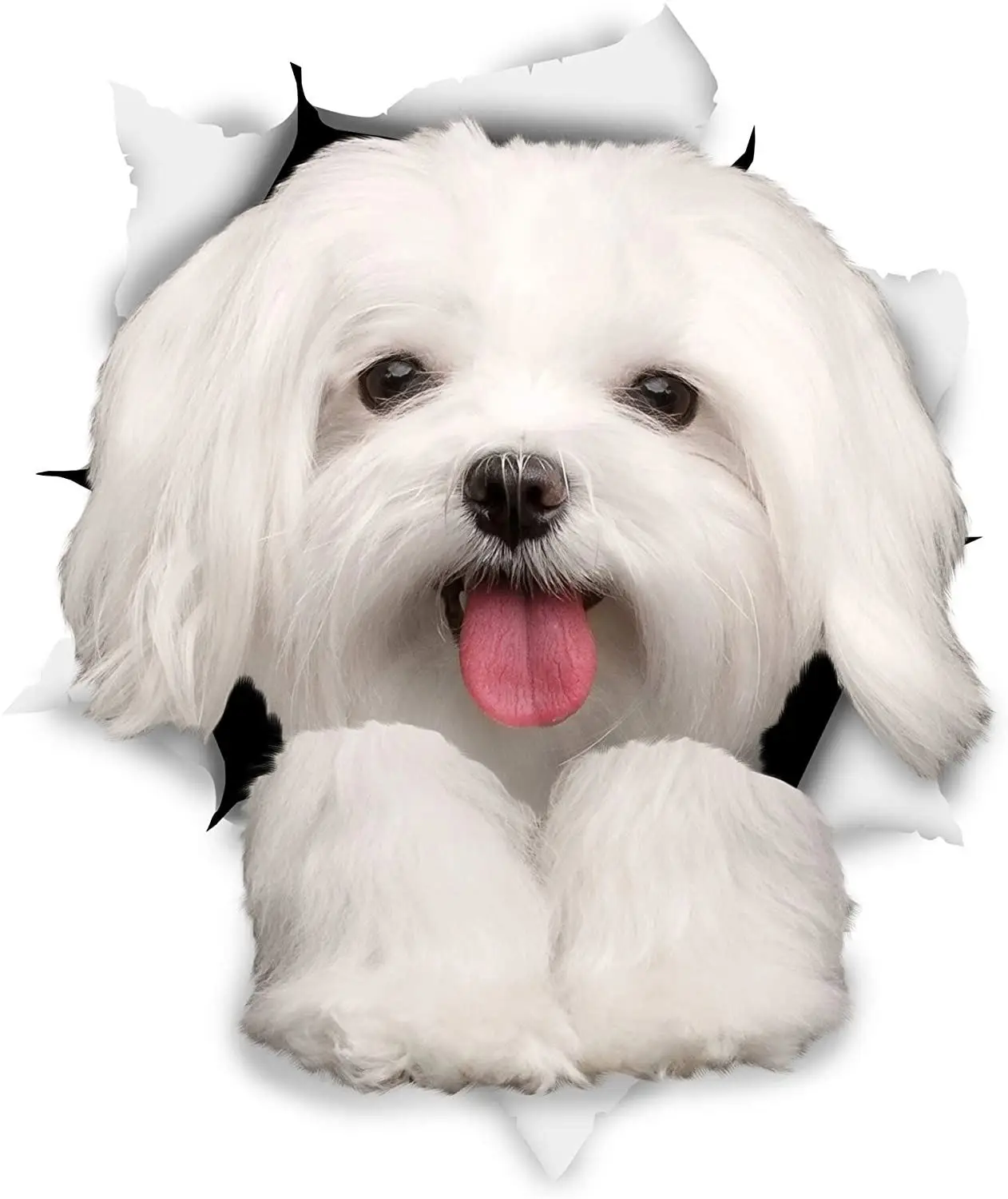 

DasDecal Cute Maltese Dog Car Sticker Decoration Cover Scratch Decal Laptop Truck Motorcycle Auto Accessories PVC,12cm*9cm